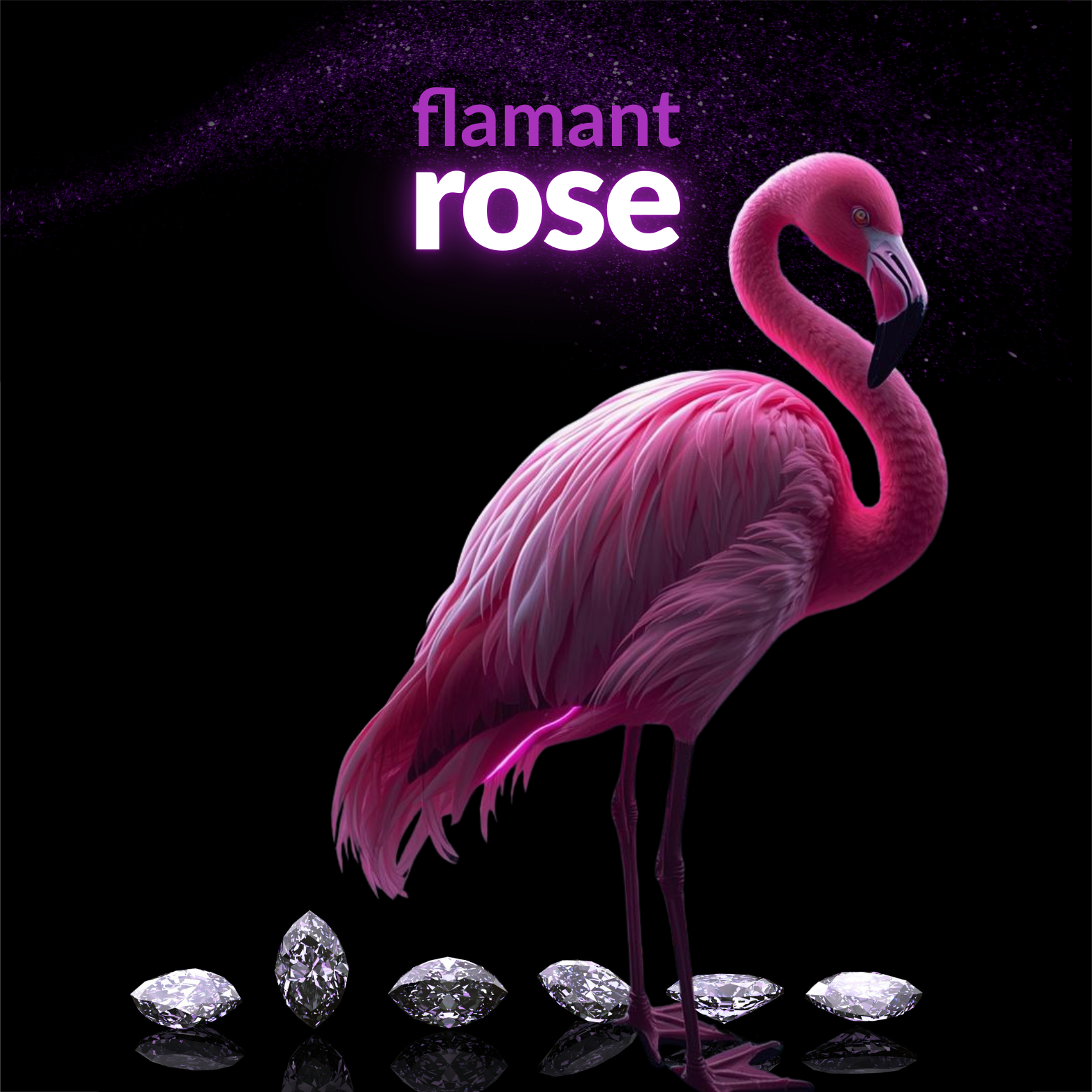 Flamant 🦩 Rosa
