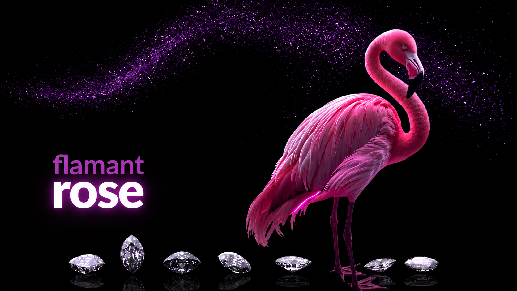 Flamant 🦩 Rosa — additional hero